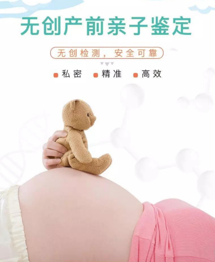 江苏如何办理胎儿亲子鉴定,